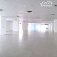 Bqlcho Thuê Văn Phòngtại Tòa Golden Palm 21 Lê Văn Lương, Diện Tích 50M2, 80M2, 120M2, 200M2, 500M2