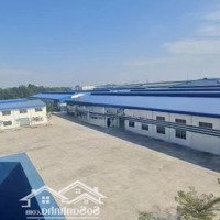 Cho Thuê Xưởng 25000M2 Ở Khu Công Nhiệp Bình Dương , Factory For Rent