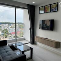 Cho thuê căn hộ 70m2, 2PN Chung cư cao cấp Happpy One Thủ Dầu Một, Bình Dương