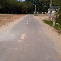 225M Đất 100M Thổ Cư Đất Sát Khu Công Nghiệp Cây Trường