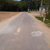 225M Đất 100M Thổ Cư Đất Sát Khu Công Nghiệp Cây Trường