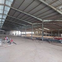 Cho Thuê Xưởng 5.000M2.Pccc Tự Động ,Đầy Đủ Giấy Tờ,Khánh Bình ,Tân U