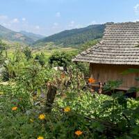 Lô đất Mộc Châu siêu phẩm phù hợp làm Homestay, coffee check in,nghỉ dưỡng