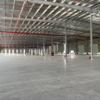 Cho Thuê Kho Tiêu Chuẩn Logistics, Tổng Toàn Bộ Diện Tích 15000M2, Đầy Đủ Pccc Có Nghiệm Thu