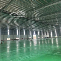 Cho Thuê Kho Xưởng 5000M2 Trong Kcn Nhơn Trạch, Đồng Nai