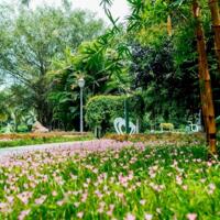 The Fibonan - eco.park căn hộ cao cấp mua đầu tư giai đoạn đầu