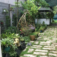 Cần Sang Nhượng Nhà Vườn Tại Trung Lập Hạ, Củ Chidiện Tích630M2 Thổ Cư 200M2 Liên Hệ: 0965135739