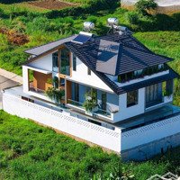 Bán Villa Mặt Tiền Sổ Riêng Nguyễn Hữu Cầu, Phường 12, Đà Lạt, Đường