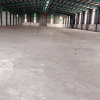 Cho Thuê Xưởng 2400M2 Pháp Lý Chuẩn Kcn Tam Phước, Biên Hòa, Đồng Nai