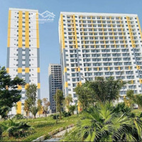 Bán Căn 1 Ngủ Chung Cư Evergreen Bắc Giang