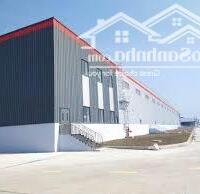 Kho Logistics Cho Thuê Tại Đà Nẵng: Đẹp Hơn Tranh Vẽ, Diện Tích Đa Dạng Lên Đến 30,000m²