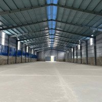 Cho Thuê Kho 3000M2 Gần Trung Tâm Tpct Pccc Đầy Đủ