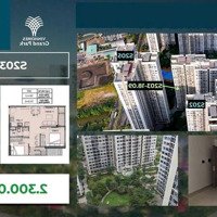 Căn Hộ 2 Phòng Ngủvinhomes Grand Park Có Sổ Giá Chỉ 2,2 Tỷ Vnd