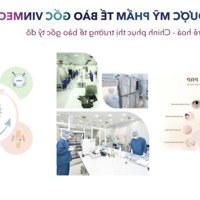 Giảm 7 Tỷ Khi Mua Căn Biệt Thự Trước Tết Rộng 225M2 Xây 3 Tầng Trung Tâm Móng Cái