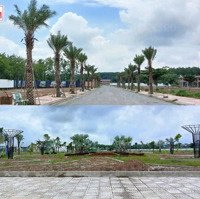 Đất Nền Sổ Sẵn Trung Tâm Tp Tân Uyên