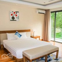 Cần Bán Gấp Căn Hoa Hậu The Ocean Villas Giá Bán 34 Tỷ Ngay Sát Biển, 3 Phòng Ngủ609 M2 , Cho Thuê 150 Triệu/Tháng