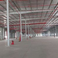 Cho Thuê Xưởng 5000M2 Kcn Giầu Dây. Hưng Lộc, Thống Nhất. Đồng Nai