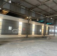 Kho Xưởng 1500M2 Lò Lu Cont Trần Cao 7M