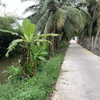 Đất Trồng Cây, Cách Đường Cao Tốc 1Km, Gần Chợ, Đường Vô 3M