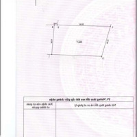 Cho Thuê Bt5 Khu Đô Thị Pháp Vân, Trần Thủ Độ, Hoàng Mai, Hà Nội. Diện Tích 305M2,Mặt Tiền15M. Giá 15 Triệu