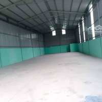 Cho Thuê Kho Xưởng 500M Sẵn Điện Bapha Thuận An - Diện Tích: 12X40M 500M2
- Xưởng Sạch Đẹp, Mới