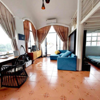 Penhouse Coa Duplex 80M2 Ngay Công Viên Gia Định