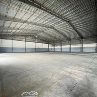 Kho Trong Kcn Cát Lái. 1.200M2. Pccc Tự Động, Thẩm Duyệt. Cont Đi 24/7. Giá Còn Tl