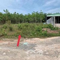 Chính Chủ Cần Bán Đất Shr 1025M2 Huyện Châu Thành, Tây Ninh,Có Thương Lượngnhẹ.