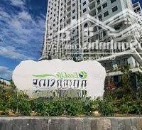 Bán 5 Căn Ecolife Riverside - Quy Nhơn, Giảm Giá 25%, Nhận Nhà Mới 100%, Sổ Hồng Sẵn - 750 Triệu/Căn