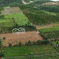 Cần Bán Trang Trại, Khu Nghỉ Dưỡng Giá Bán 35 Tỷ Tại Lâm Hà-Lâm Đồng Cách Đà Lạt 40Km