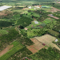 Cần Bán Trang Trại, Khu Nghỉ Dưỡng Giá Bán 35 Tỷ Tại Lâm Hà-Lâm Đồng Cách Đà Lạt 40Km