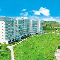 Cho Thuê Căn Hộ 1 Phòng Ngủ Giá Chỉ 8 Triệu Vnd Tại Ocean Vista