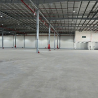 Cho Thuê Kho Xưởng Trong Kcn Xã Bến Lức,Long An, Khuôn Viên : 5.000M2,Xưởng : 3.300M2, Pccc Tự Động