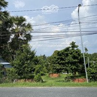 Cần Bán Gấp