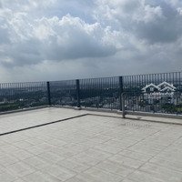 Cho Thuê Ch 115M2( 3 Phòng Ngủ+ 3Wc) Tròn View, Sân Vườn 20M . Đi Q1 20P