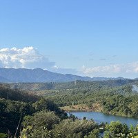 Đất Trồng Cà Phê, Đường Betong Ô Tô Tới Đất, View Hồ.