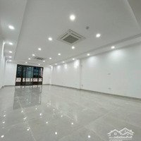 Cầu Giấy, Mạc Thái Tổ, Mạc Thái Tông, 121M2, 5 Tầng, Lô Góc, Giang 0979388189 Ô Tô, Phân Lô, T Máy