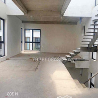 (N203)Cho Thuê Biệt Thự Cao Cấp P.thảo Điền, Quận 2 • Dtsd:323,6M2