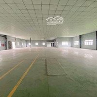 Cho Thuê Nhà Xưởng 750M2 Giá Thuê 32 Triệu