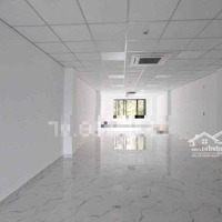 Building Ngang 10M, Hơn 1000M2 Số 244 Đồng Đen, Quận Tân Bình.!!!