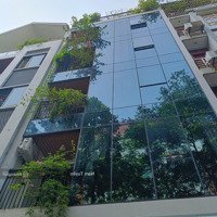 Bán Nhà Phố Tu Hoàng, 86M2- 6T - Tm, Vp Cực Đẹp, Chỉ 19 Tỷ