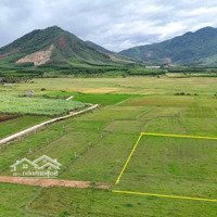 Bán 1.500M2 Quy Hoạch Thổ Cư View Đẹp Gần Chợ, Trường Diên Tân, Diên Khánh Giá Rẻ Liên Hệ: 0788.558.552