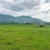 Bán 1.500M2 Quy Hoạch Thổ Cư View Đẹp Gần Chợ, Trường Diên Tân, Diên Khánh Giá Rẻ Liên Hệ: 0788.558.552