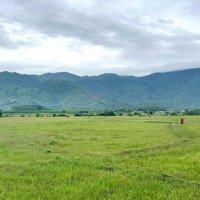 Bán 1.500M2 Quy Hoạch Thổ Cư View Đẹp Gần Chợ, Trường Diên Tân, Diên Khánh Giá Rẻ Liên Hệ: 0788.558.552