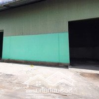 Cho Thuê Kho Hot 350M2 Tại Đường Nguyễn Đức Thuận, Phường 13, Tân Bình.