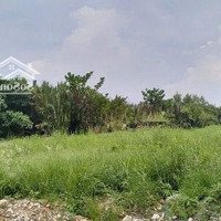 Cho Thuê Đất 6000M2 Đường Nguyễn Lương Bằng Giá Tốt 240 Triệu