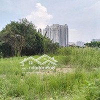 Cho Thuê Đất 6000M2 Đường Nguyễn Lương Bằng Giá Tốt 240 Triệu