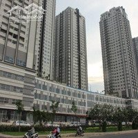 Chuyển Nhượng Shophouse Khu Sunrise City North 62M2 - Quận 7