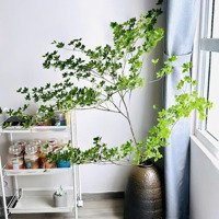 Cho Thuê Căn Hộ 2 Phòng Ngủ-88M2- Nội Thất Đủ Đồ T12 Vào -Tại Mulberry Lane -Liên Hệ Ngay Liên Hệ: 0945566468