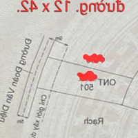 Bán 501M2 Thổmặt Tiềnđoàn Văn Diệu, Mỹ Lộc, Cần Giuộc, La